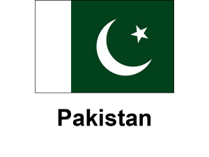 /files/images/flag-chau-a/dich-vu-visa-chau-a-pakistan-flag-300x225.png