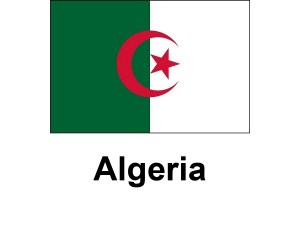 /files/images/flag-chau-phi/dich-vu-visa-chau-phi-algeria-flag-300x225.png