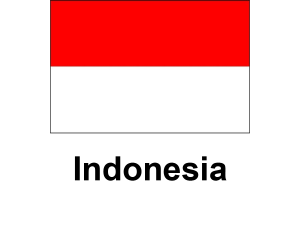/files/images/flag-chau-a/dich-vu-visa-chau-a-indonesia-flag-300x225.png