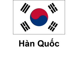 /files/images/flag-chau-a/dich-vu-visa-chau-a-souther-korea-300x225.png