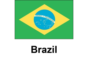/files/images/flag-chau-my/dich-vu-visa-chau-my-Brazil-flag-300x225.png