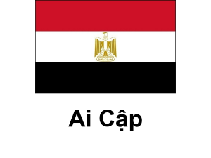 /files/images/flag-chau-phi/dich-vu-visa-chau-phi-egypt-flag-300x225.png