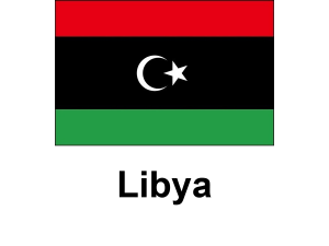 /files/images/flag-chau-phi/dich-vu-visa-chau-phi-libya-flag-300x225.png